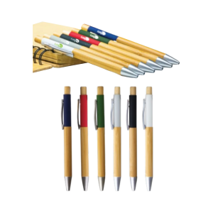 Bamboo Pen